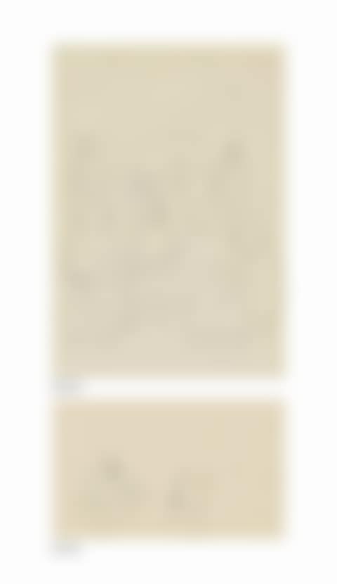 Volksgericht (recto); Untitled (verso) (preview)