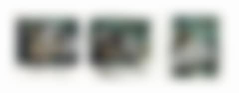 Butterfly, Bat, Turtle (preview)