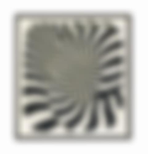 Zèbres (Zebras) (preview)