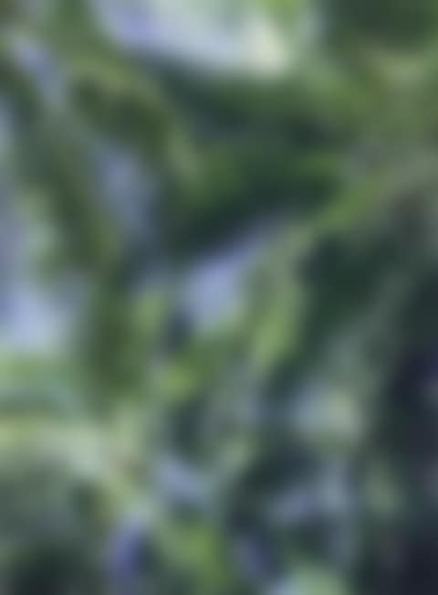 Jpeg pt01 (preview)
