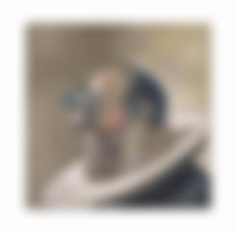 Portrait en Grisaille (preview)