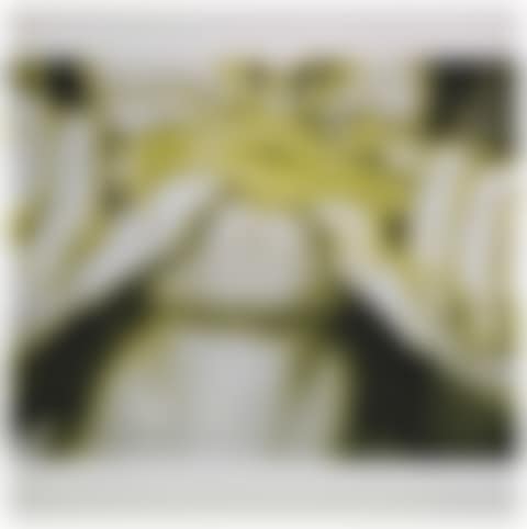 Studies for Holograms (preview)