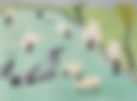 Landscape with Sheep (preview)