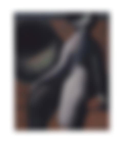 Nude in Front of a Gramophone (preview)