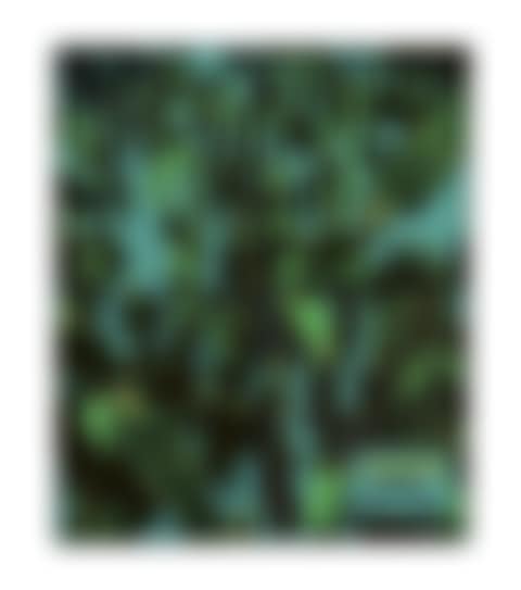 Crowd (preview)
