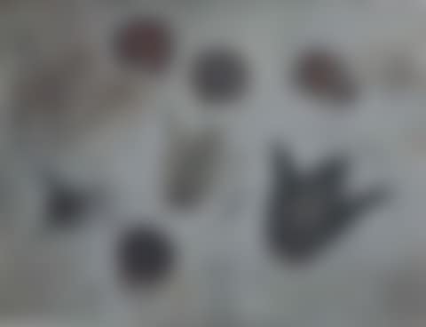 Fruition (preview)
