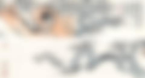 Plum Blossoms (preview)