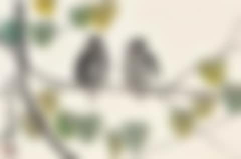 Two Birds (preview)