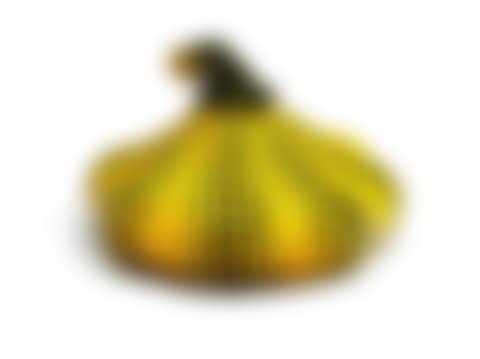 PUMPKIN (preview)