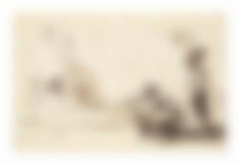 Two men hunting pigeons and a woman carrying a basket on her head standing beside (recto); Two head studies (verso, faintly visible through the recto) (preview)