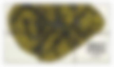 Holy Piss (preview)
