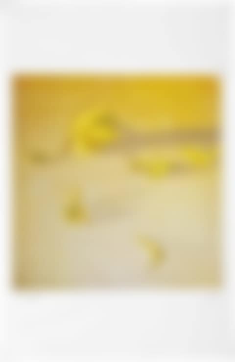 Lemon, Gaeta (preview)