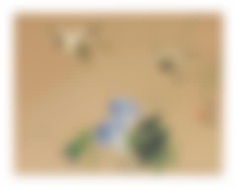 Two Birds and Flowers (preview)