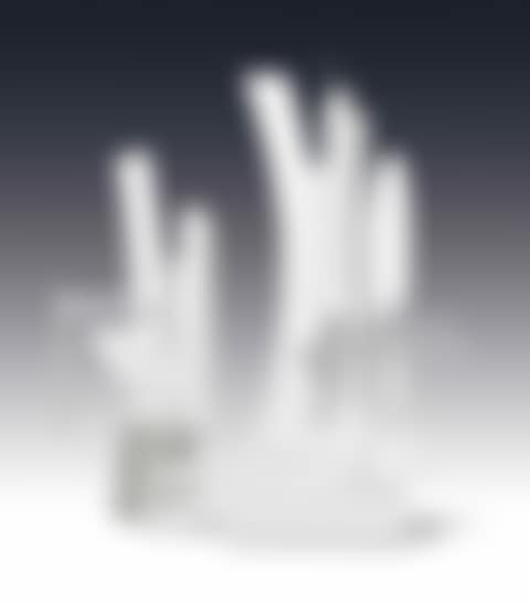 Double Image (preview)