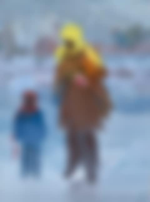 Mount Royal (Lac des Castors) (preview)