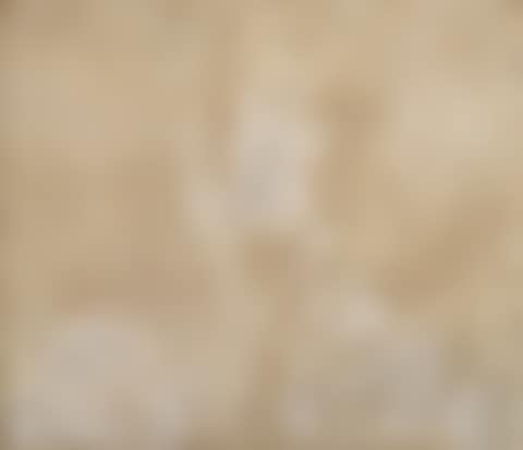 Fiore Partigiano (Partisan Flower) (preview)