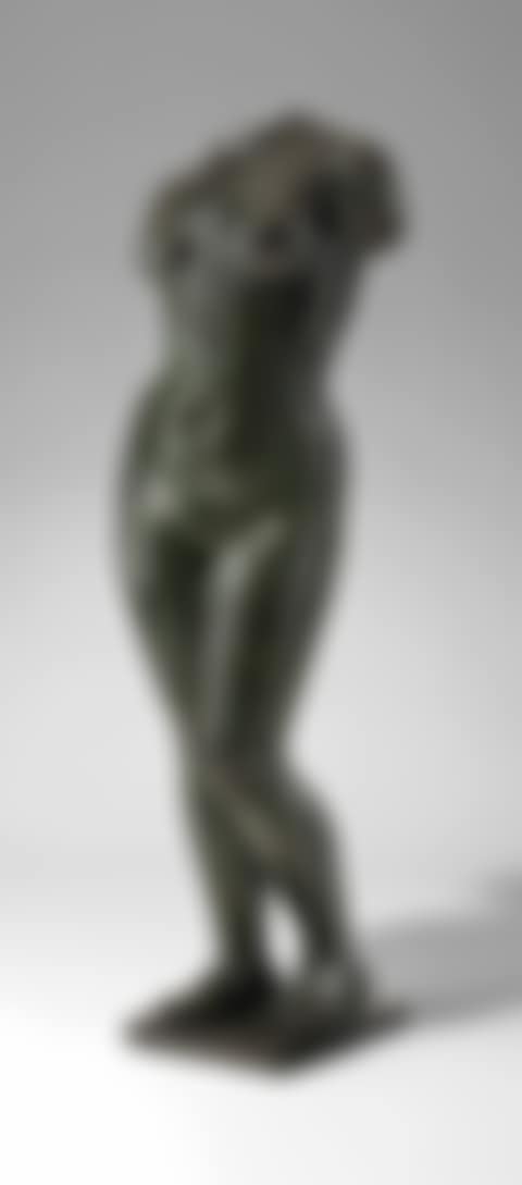 Torse de l'été (preview)