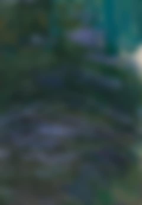 Nymphéas (fragment) (preview)