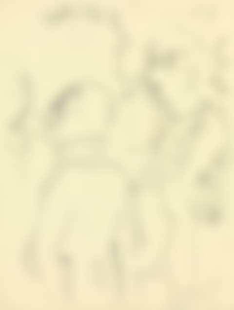 Society (preview)