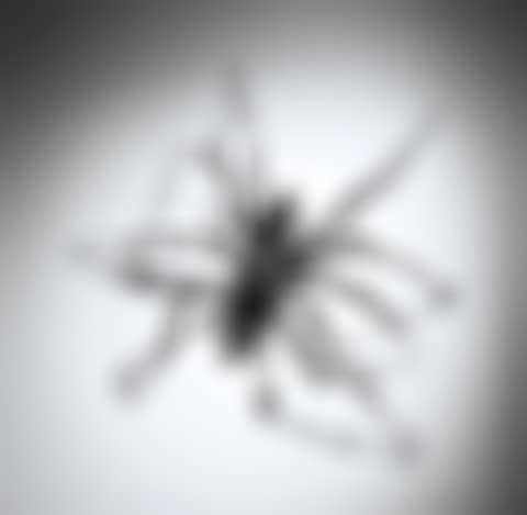 Spider II (preview)
