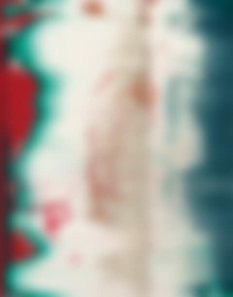 Fuji (839-99) (preview)