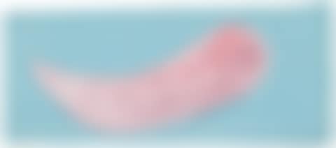 Tadpole (preview)