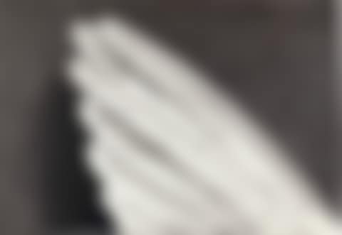 Untitled (Angels Wing) (preview)