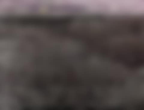 Pink Season (preview)