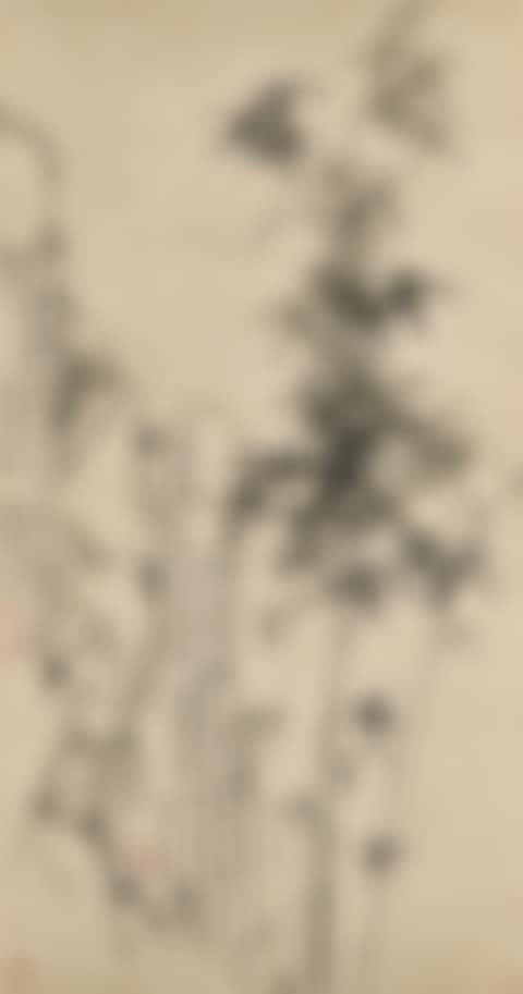 Bamboo and Rocks (preview)