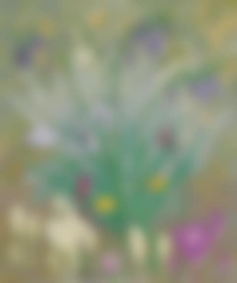 Spring Flowers (preview)