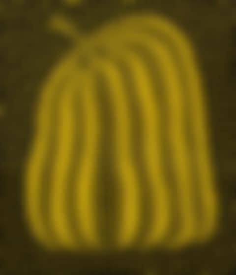Pumpkin (preview)