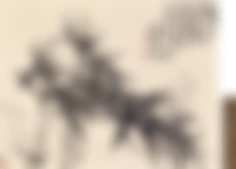 Ink Bamboo (preview)