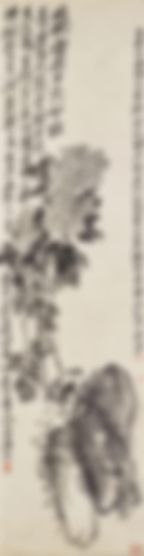 Chrysanthemum and Rock (preview)