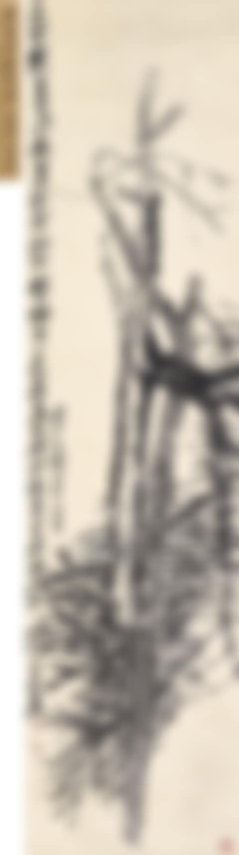 Pine (preview)