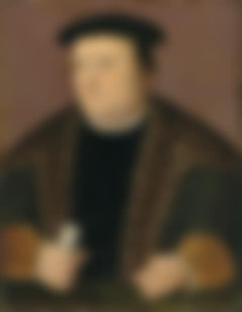Portrait of a gentleman, half-length, in a fur lined coat (preview)