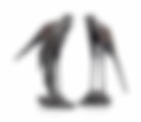 'SERPENTAIRE MALE' (preview)