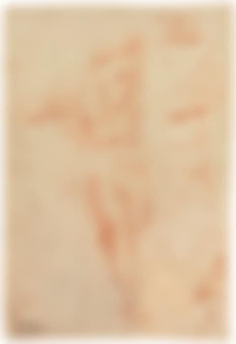 Studies for a young woman turned to the right (recto); Studies for her head in profile and left hand (verso) (preview)