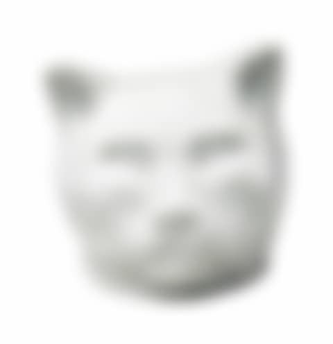 Cat (preview)
