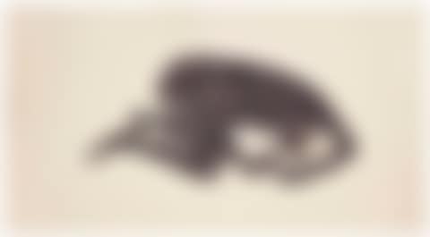 Sueño (preview)