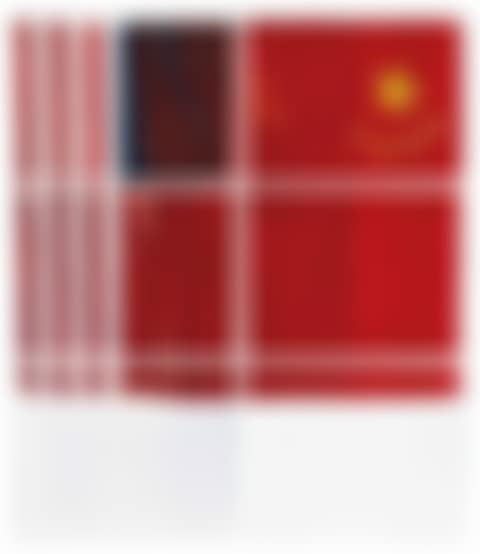 Three Flags for 1 Space and 6 Regions (preview)