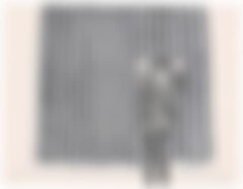 Figure by a Curtain (preview)