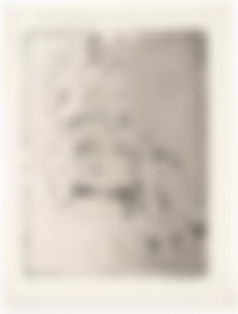 re Nude etching (preview)