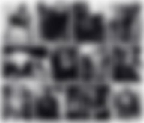 Lisette Model: Twelve Photographs (preview)