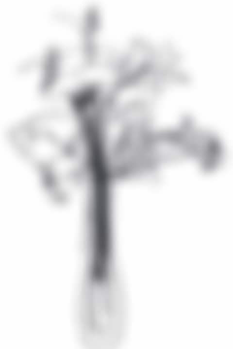 Steel Drawing/Wildflower Bouquet Edition (preview)