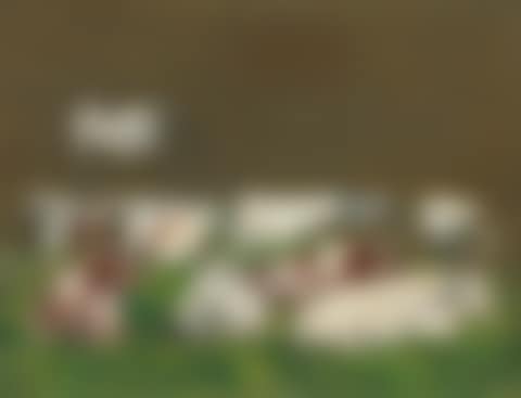 Etude de vaches (preview)