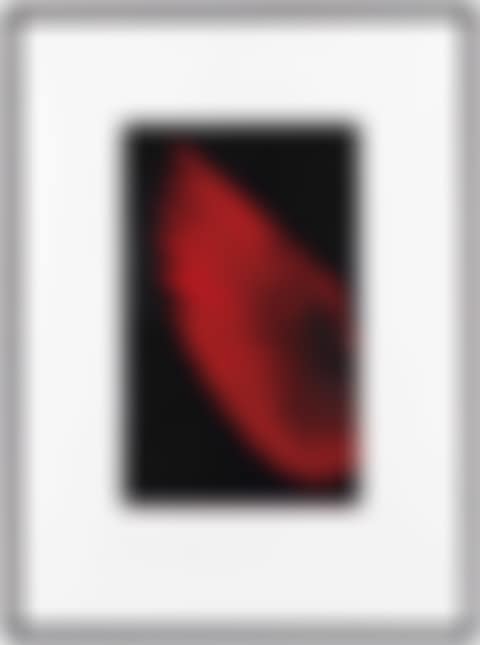 Study of Red Humming Bird (preview)