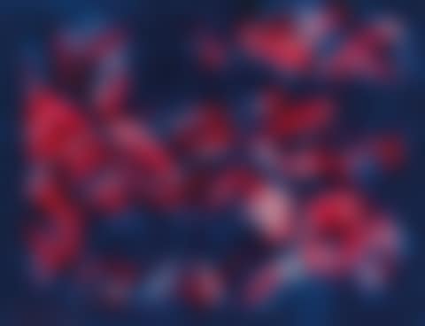 Mackerel Sky At The Sunset (preview)