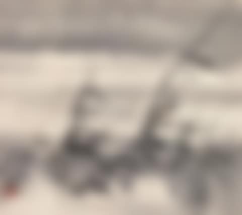 Reeds (preview)