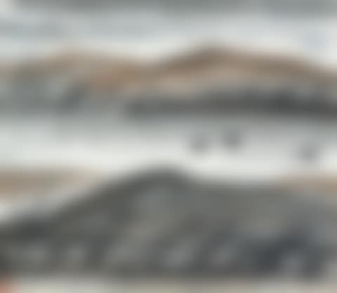 Geese Across the Pond (preview)