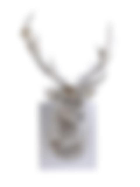PixCell-Deer #29 (preview)